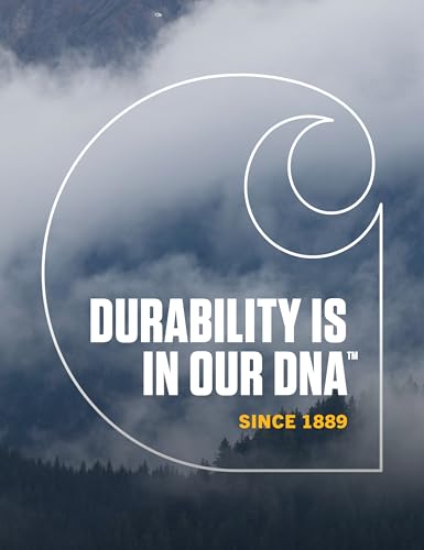 Carhartt Men's Knit Cuffed Beanie