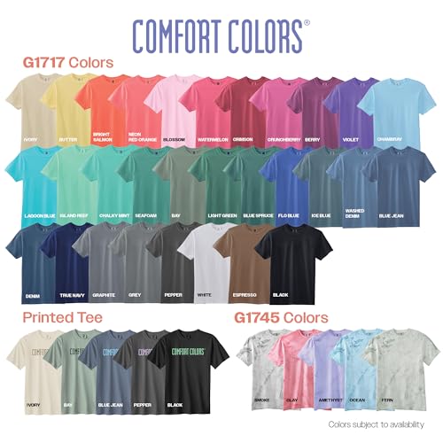 Comfort Colors Adult Heavyweight Short Sleeve Tee, Style G1717/G1745, Multipack